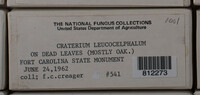 Image Associated With the Occurence